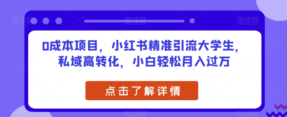 0成本项目，小红书精准引流大学生，私域高转化，小白轻松月入过万【揭秘】_微雨项目网