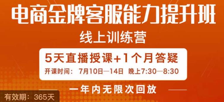 电商金牌客服能力提升班，提升客服能力是你店铺业绩的关键要素_微雨项目网