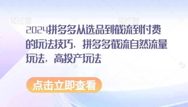 2024拼多多从选品到截流到付费的玩法技巧，拼多多截流自然流量玩法，高投产玩法_微雨项目网