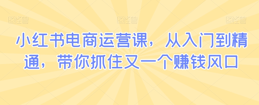 小红书电商运营课，从入门到精通，带你抓住又一个赚钱风口_微雨项目网