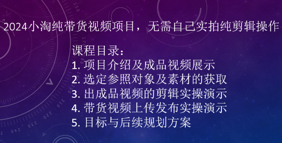 2024小淘纯带货视频项目，无需自己实拍纯剪辑操作_微雨项目网