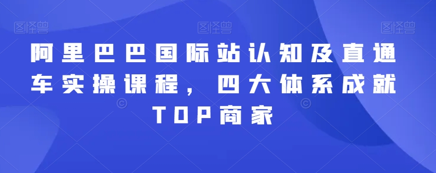 阿里巴巴国际站认知及直通车实操课程，四大体系成就TOP商家_微雨项目网