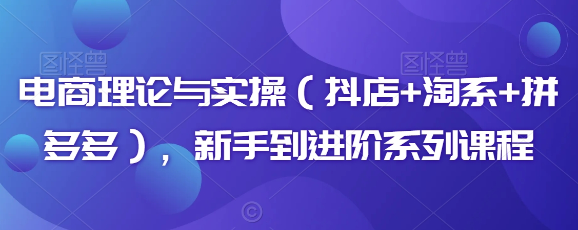 电商理论与实操（抖店+淘系+拼多多），新手到进阶系列课程_微雨项目网