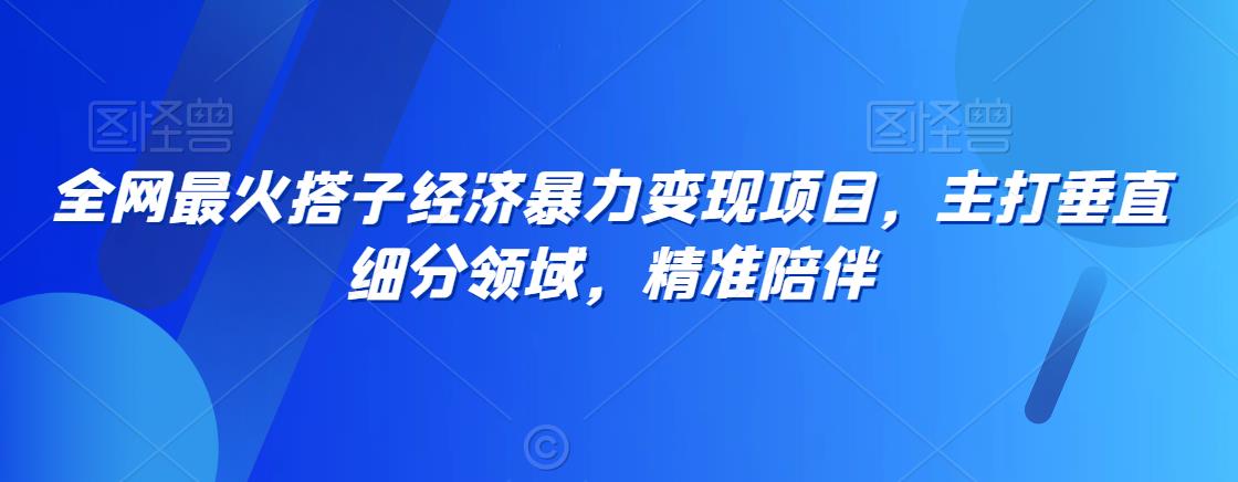 全网最火搭子经济暴力变现项目，主打垂直细分领域，精准陪伴【揭秘】_微雨项目网