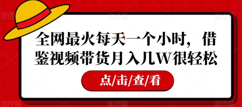 全网最火每天一个小时，借鉴视频带货月入几W很轻松【揭秘】_微雨项目网