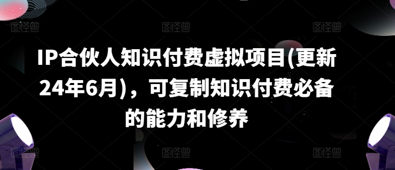 IP合伙人知识付费虚拟项目(更新24年6月)，可复制知识付费必备的能力和修养_微雨项目网