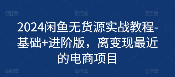 2024闲鱼无货源实战教程-基础+进阶版，离变现最近的电商项目_微雨项目网