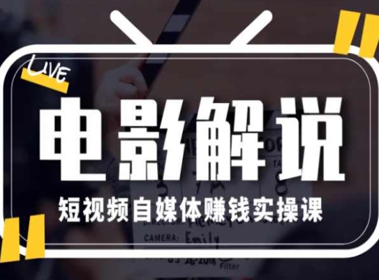 电影解说短视频自媒体赚钱实操课，教你做电影解说短视频，月赚1万_微雨项目网