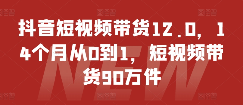 抖音短视频带货12.0，14个月从0到1，短视频带货90万件_微雨项目网