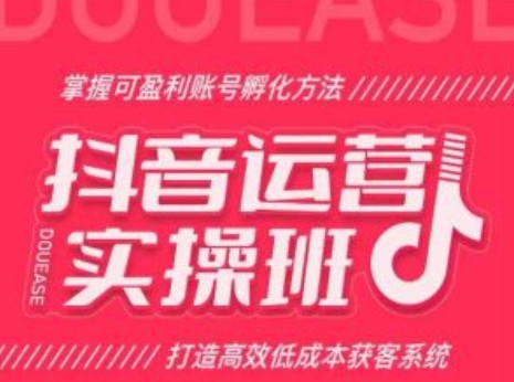 抖音运营实操班，掌握可盈利账号孵化方法，打造高效低成本获客系统_微雨项目网