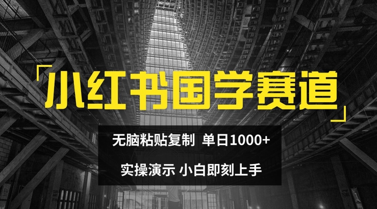 小红书国学赛道，无脑粘贴复制，单日1K，实操演示，小白即刻上手【揭秘】_微雨项目网