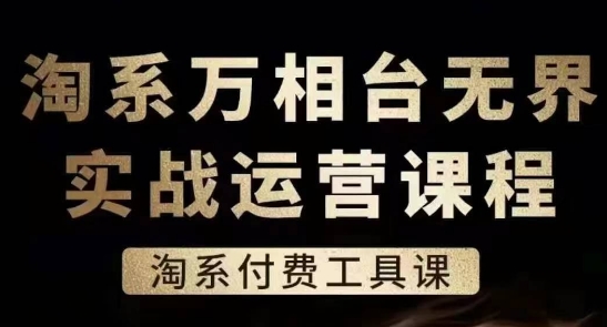 淘系万相台无界实战运营课，淘系付费工具课_微雨项目网