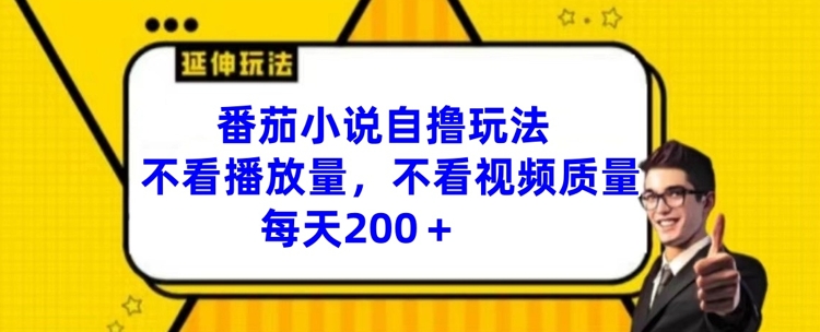 番茄小说自撸玩法，不看播放量，不看视频质量，每天200+【揭秘】_微雨项目网