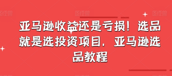 亚马逊收益还是亏损！选品就是选投资项目，亚马逊选品教程_微雨项目网