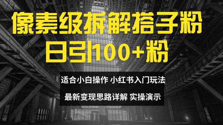 像素级拆解搭子粉，日引100+，小白看完可上手，最新变现思路详解【揭秘】_微雨项目网