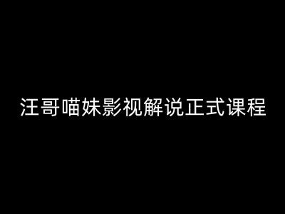 汪哥影视解说正式课程：剪映/PR教学/视解说剪辑5大黄金法则/全流程剪辑7把利器等等_微雨项目网