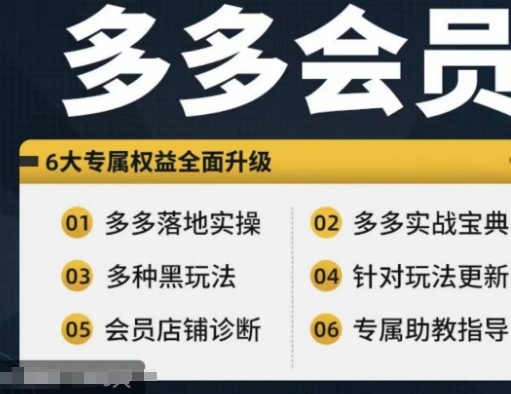 拼多多会员，拼多多实战宝典+实战落地实操，从新手到高阶内容全面覆盖_微雨项目网