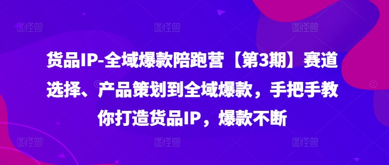 货品IP全域爆款陪跑营【第3期】赛道选择、产品策划到全域爆款，手把手教你打造货品IP，爆款不断_微雨项目网