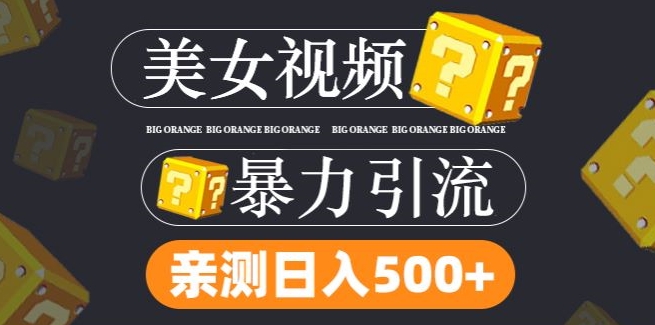 搬运tk美女视频全网分发，日引s粉300+，轻松变现，不限流量不封号【揭秘】_微雨项目网