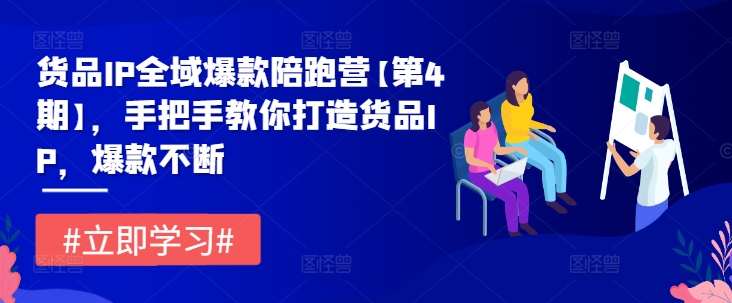 货品IP全域爆款陪跑营【第4期】，手把手教你打造货品IP，爆款不断_微雨项目网