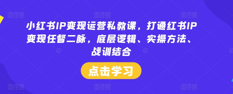 小红书IP变现运营私教课，打通红书IP变现任督二脉，底层逻辑、实操方法、战训结合_微雨项目网