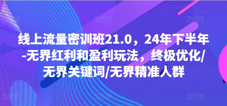 线上流量密训班21.0，24年下半年-无界红利和盈利玩法，终极优化/无界关键词/无界精准人群_微雨项目网