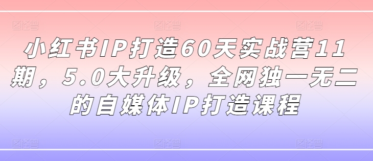 小红书IP打造60天实战营11期，5.0大升级，全网独一无二的自媒体IP打造课程_微雨项目网