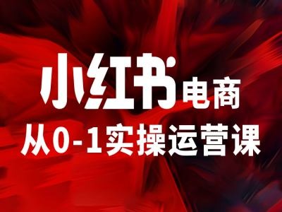 小红书电商从0-1实操运营课，让你从小白到精英_微雨项目网