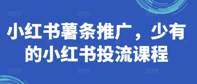 小红书薯条推广，少有的小红书投流课程_微雨项目网