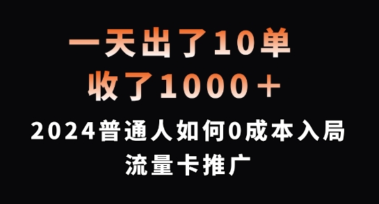 一天出了10单，收了1000+，2024普通人如何0成本入局流量卡推广【揭秘】_微雨项目网