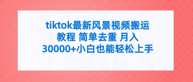 tiktok最新风景视频搬运教程 简单去重 月入3W+小白也能轻松上手【揭秘】_微雨项目网