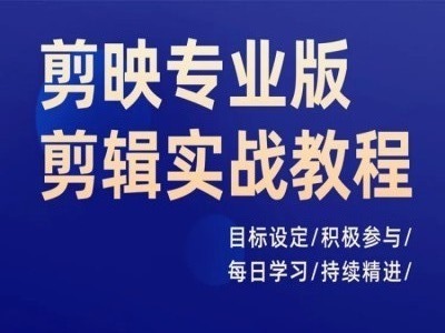 剪映专业版剪辑实战教程，目标设定/积极参与/每日学习/持续精进_微雨项目网