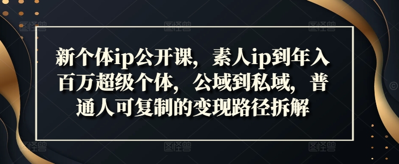 新个体ip公开课，素人ip到年入百万超级个体，公域到私域，普通人可复制的变现路径拆解_微雨项目网