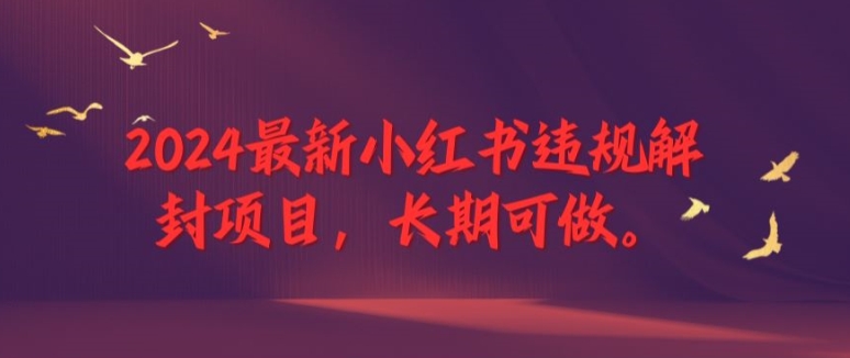 2024最新小红书违规解封项目，长期可做，一个可以做到退休的项目【揭秘】_微雨项目网