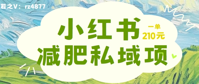 小红书减肥粉，私域变现项目，一单就达210元，小白也能轻松上手【揭秘】_微雨项目网