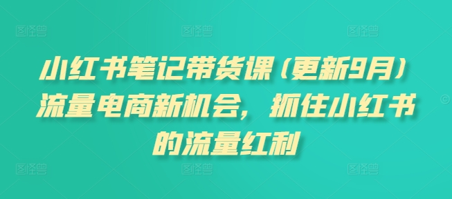 小红书笔记带货课(更新9月)流量电商新机会，抓住小红书的流量红利_微雨项目网