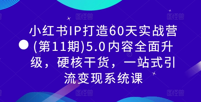 小红书IP打造60天实战营(第11期)5.0​内容全面升级，硬核干货，一站式引流变现系统课_微雨项目网