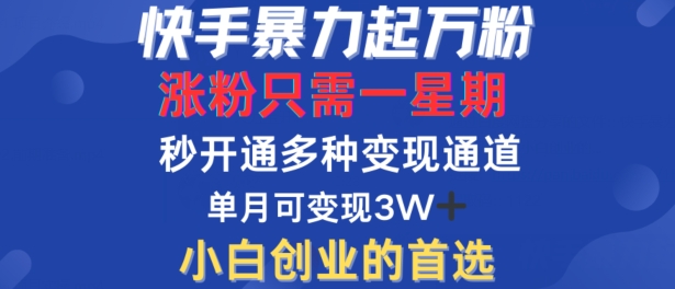 快手暴力起万粉，涨粉只需一星期，多种变现模式，直接秒开万合，单月变现过W【揭秘】_微雨项目网