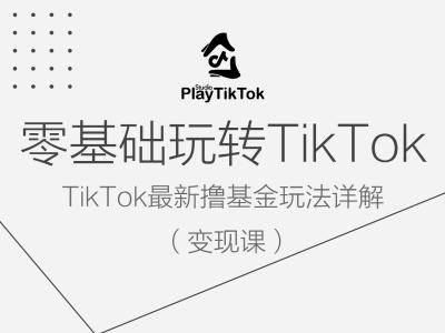 零基础玩转TiKToK变现课，TikTok最新撸基金玩法详解_微雨项目网