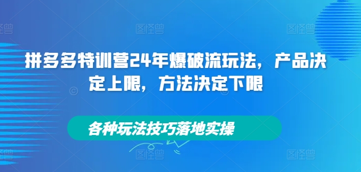 拼多多特训营24年爆破流玩法，产品决定上限，方法决定下限，各种玩法技巧落地实操_微雨项目网