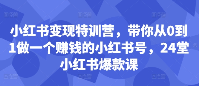 小红书变现特训营，带你从0到1做一个赚钱的小红书号，24堂小红书爆款课_微雨项目网