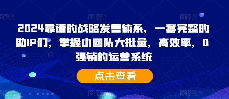 2024靠谱的战略发售体系，一套完整的助IP们，掌握小团队大批量，高效率，0 强销的运营系统_微雨项目网