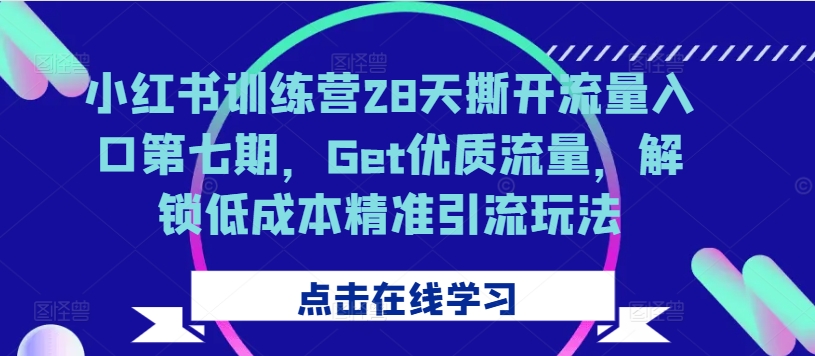 小红书训练营28天撕开流量入口第七期，Get优质流量，解锁低成本精准引流玩法_微雨项目网