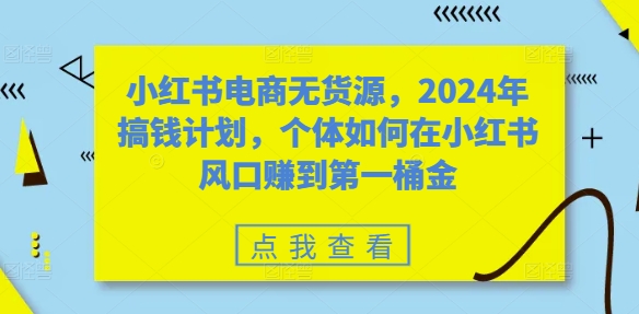 小红书电商无货源，2024年搞钱计划，个体如何在小红书风口赚到第一桶金_微雨项目网