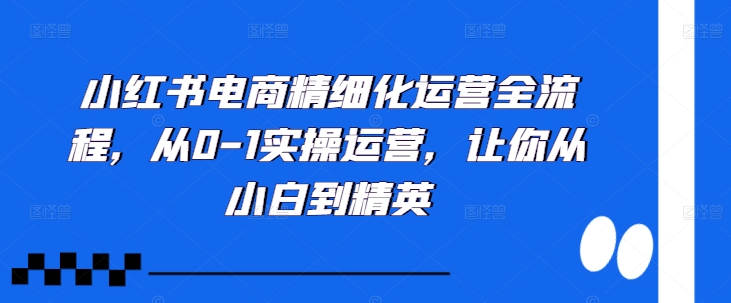 小红书电商精细化运营全流程，从0-1实操运营，让你从小白到精英_微雨项目网