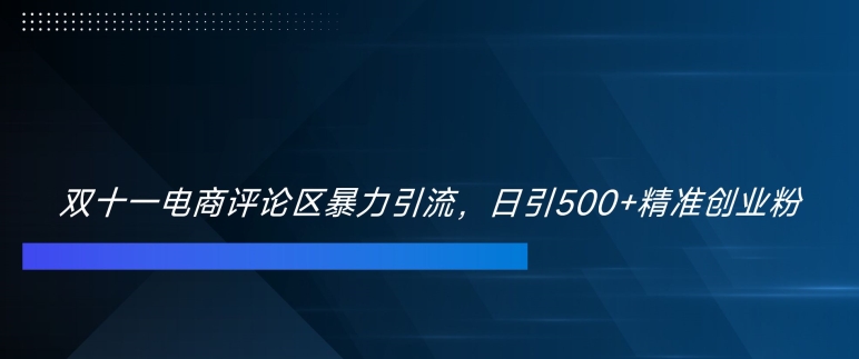 双十一电商评论区暴力引流，日引500+精准创业粉【揭秘】_微雨项目网