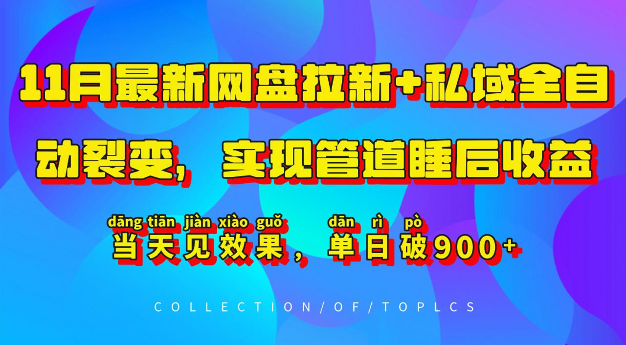 11月最新网盘拉新+私域全自动裂变，实现管道睡后收益，当天见效果，单日破900+_微雨项目网