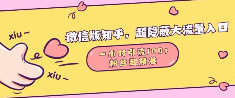 微信版知乎，超隐蔽流量入口1小时引流100人，粉丝质量超高【揭秘】_微雨项目网