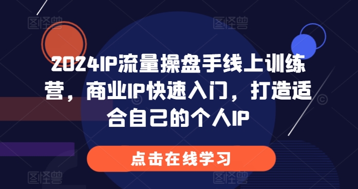 2024IP流量操盘手线上训练营，商业IP快速入门，打造适合自己的个人IP_微雨项目网