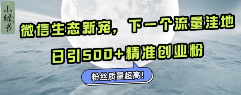 微信生态新宠小绿书：下一个流量洼地，日引500+精准创业粉，粉丝质量超高_微雨项目网